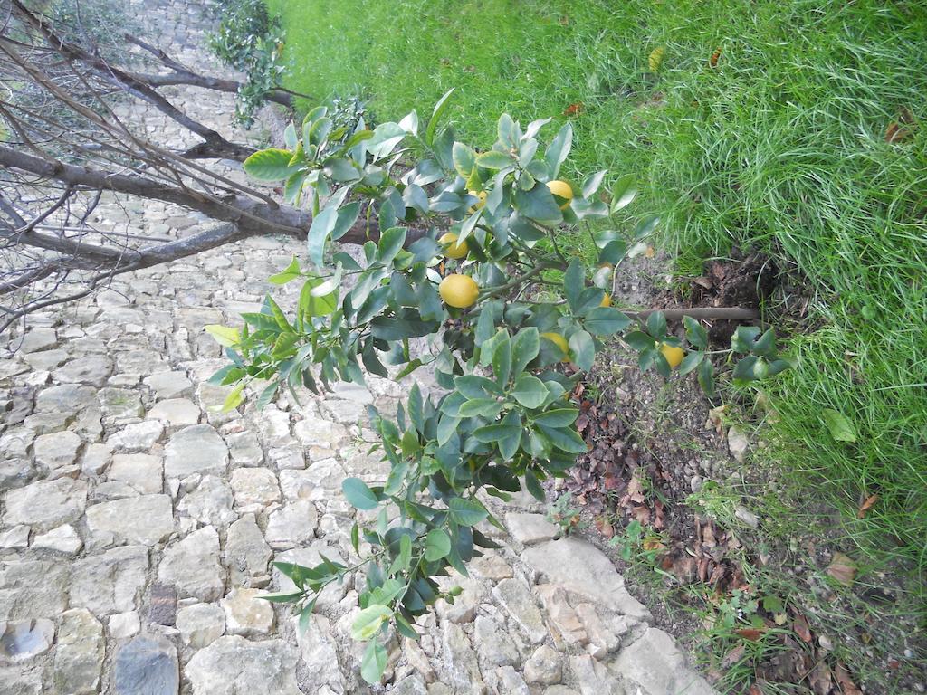 Casa Maya Brenzone sul Garda Εξωτερικό φωτογραφία